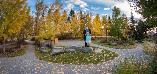 Anh and David Engagement