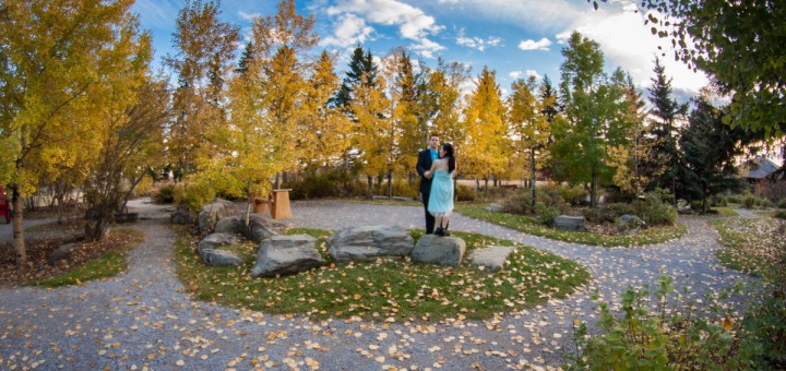 Anh and David Engagement